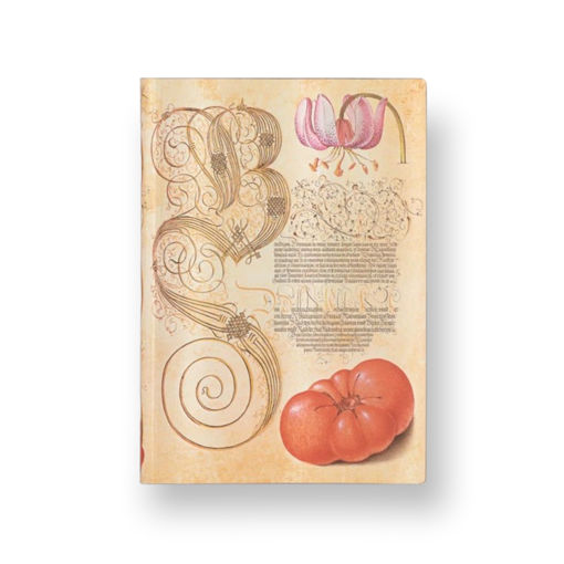 Picture of PAPER BLANKS MIRA BOTANICA MINI LINED NOTEBOOK